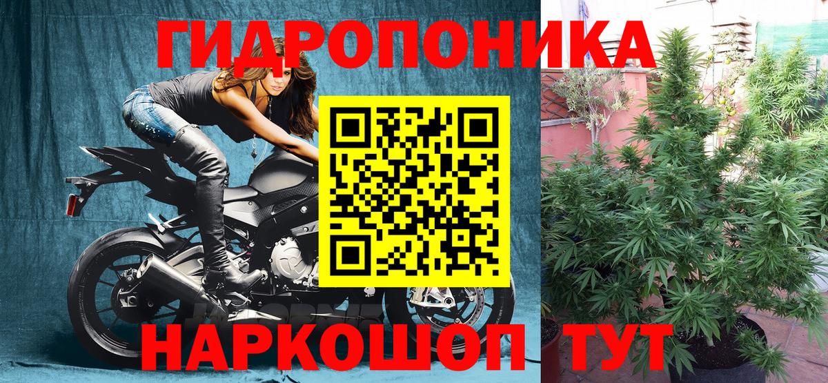 Кострома  Бошки Шишки THC 21%  МАРИХУАНА марихуана  Вход с VPN  МАРИХУАНА тримм  Шишки марихуана OG Kush 